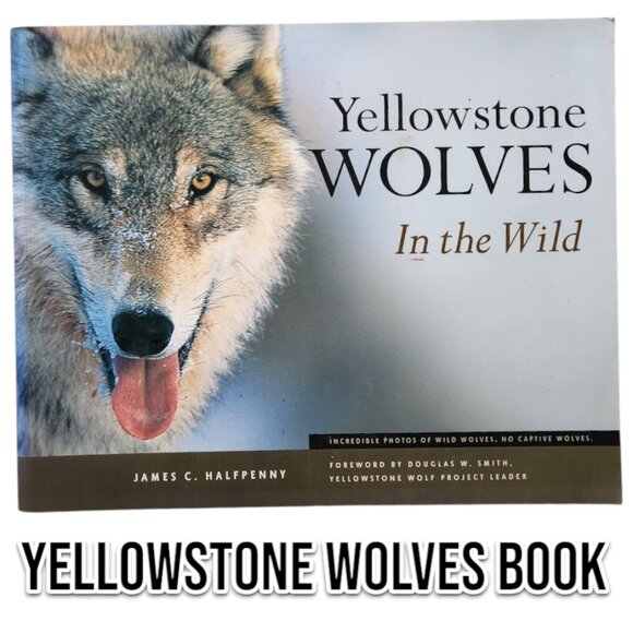 Yellowstone Wolves in the Wild by James Halfpenny Paperback Book 9781931832267 P - Picture 3 of 11
